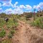 agroecology.jpg
