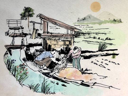 Social Forestry Book Cover