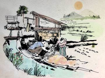 Social Forestry Book Cover