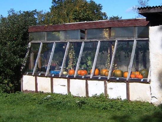 greenhouses.jpg greenhouses.jpg
