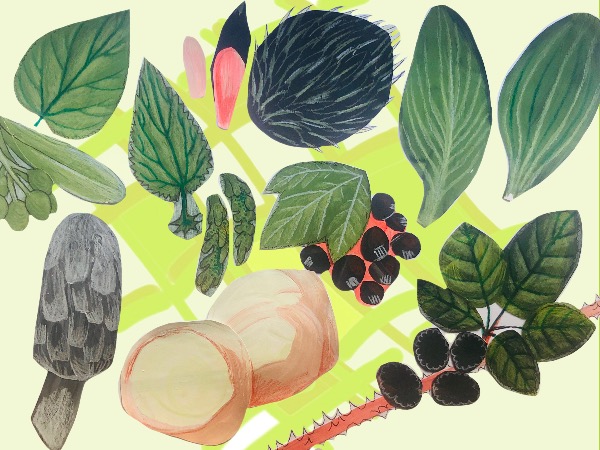 nature_bushcraft.jpg nature_bushcraft.jpg